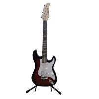 Elektro Gitar Lİlya(GE-14)