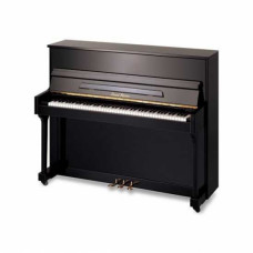 Pearl River UP118M Akustik Duvar Piyano (Parlak Siyah)