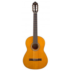 Valencia VC204 Klasik Gitar